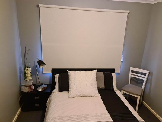 Plain Blockout Roller Blinds